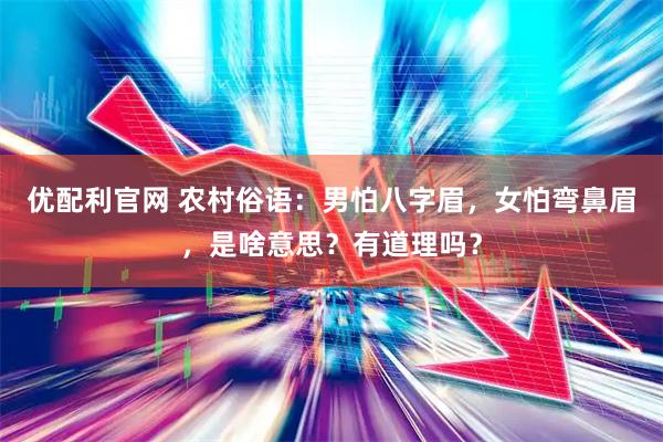 优配利官网 农村俗语:男怕八字眉,女怕弯鼻眉,是啥意思?有道理吗?