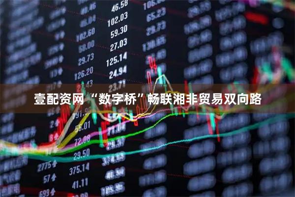 壹配资网 “数字桥”畅联湘非贸易双向路