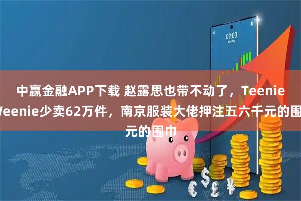中赢金融APP下载 赵露思也带不动了，Teenie Weenie少卖62万件，南京服装大佬押注五六千元的围巾